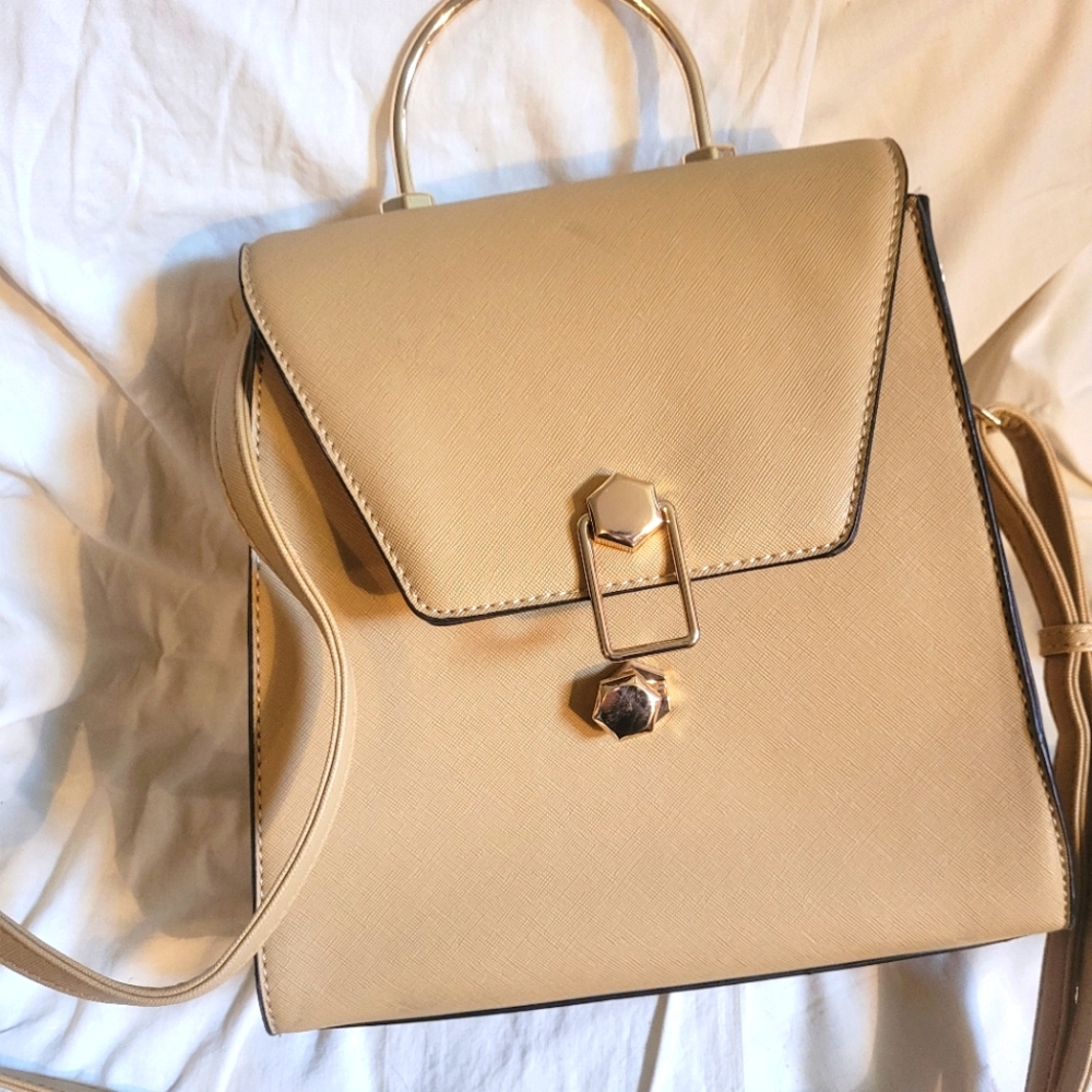 3 in 1 La Terre Purse or Backpack